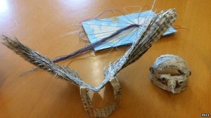 _68800428_detailofwings,box,cap